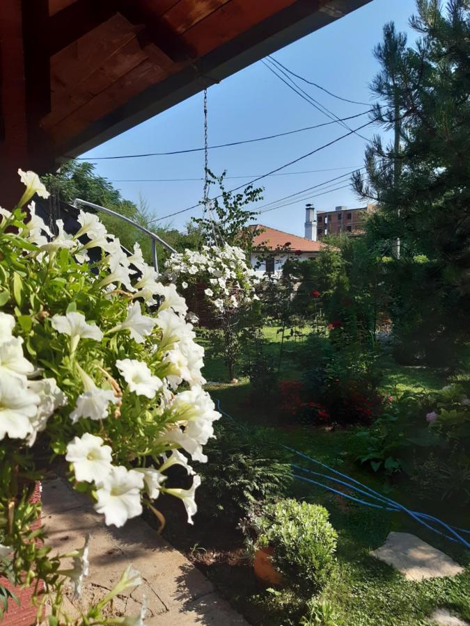Natura Apartment Belgrade Exterior photo